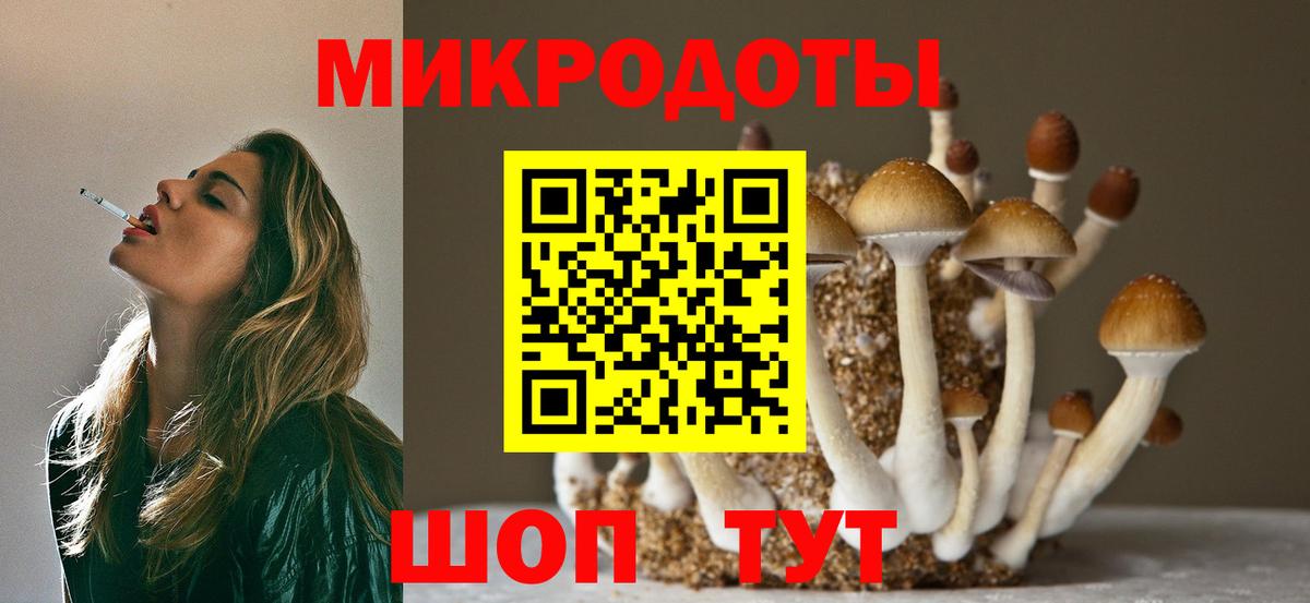 Псилоцибиновые грибы мицелий Туймазы